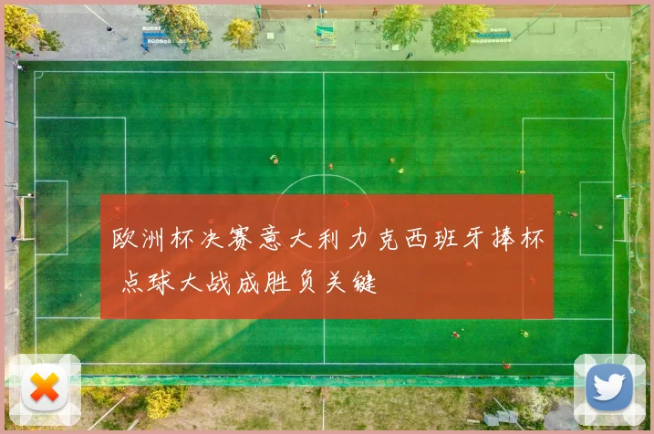 欧洲杯决赛意大利力克西班牙捧杯 点球大战成胜负关键