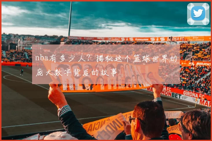 nba有多少人？揭秘这个篮球世界的庞大数字背后的故事