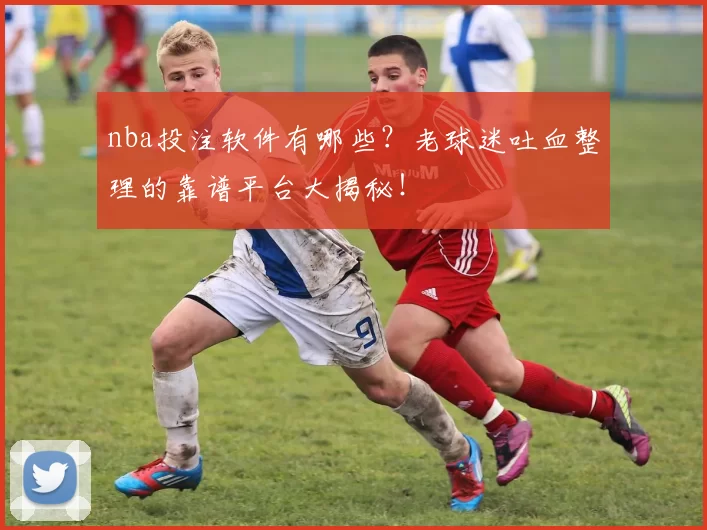 nba投注软件有哪些？老球迷吐血整理的靠谱平台大揭秘！