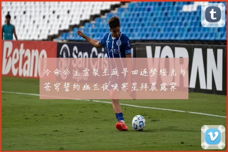 冷命公主雪裂王庭寻回逐梦瑶光与苍穹誓约幽兰夜唤寒星拜晨露霁