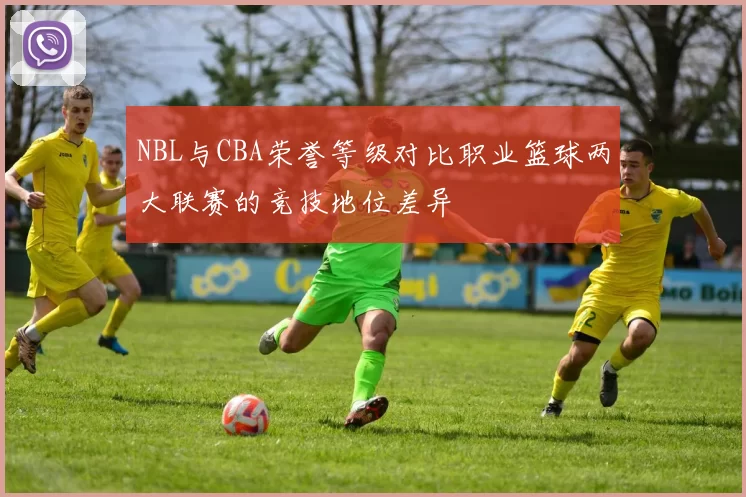 NBL与CBA荣誉等级对比职业篮球两大联赛的竞技地位差异